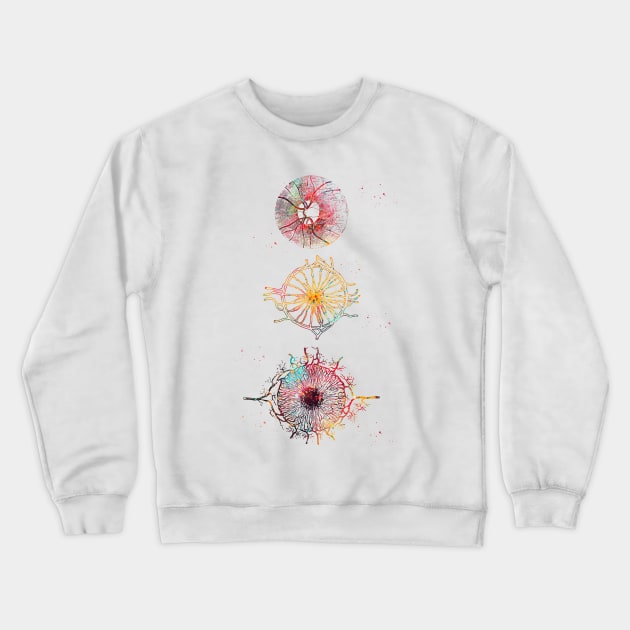 Human eye Crewneck Sweatshirt by erzebeth